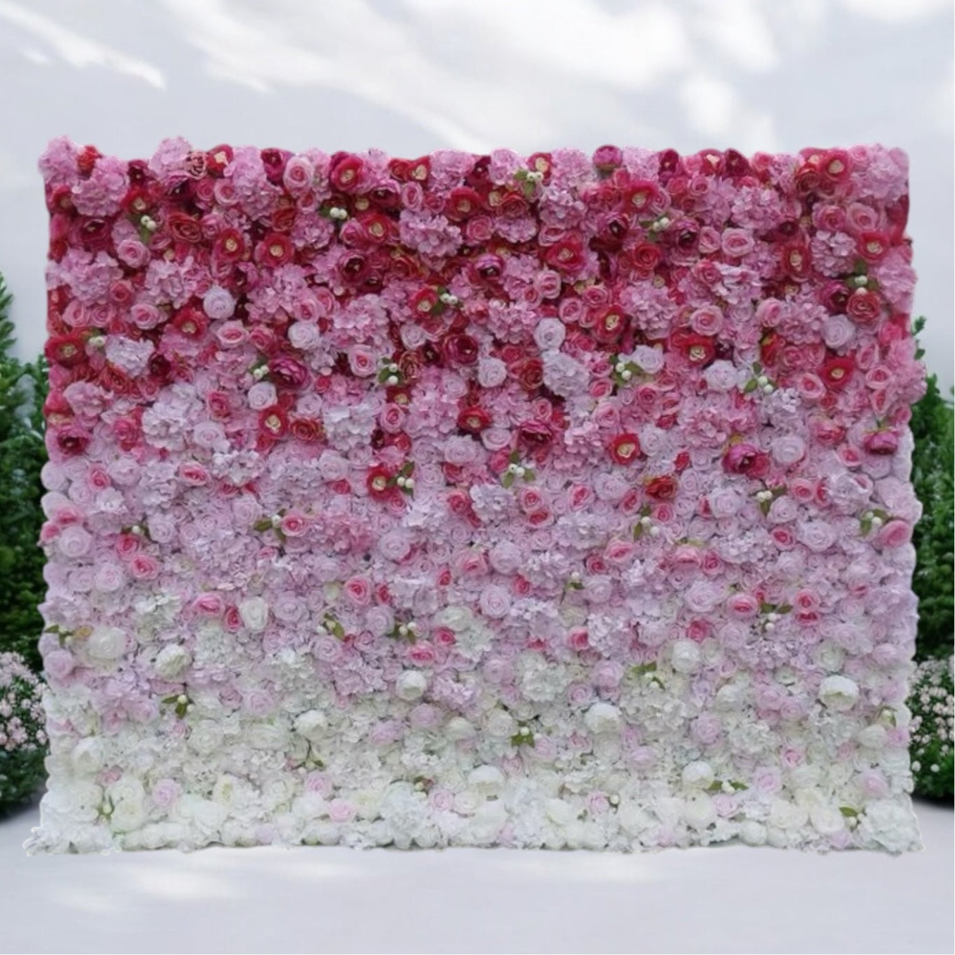 Pink Ombré Wall - Premium