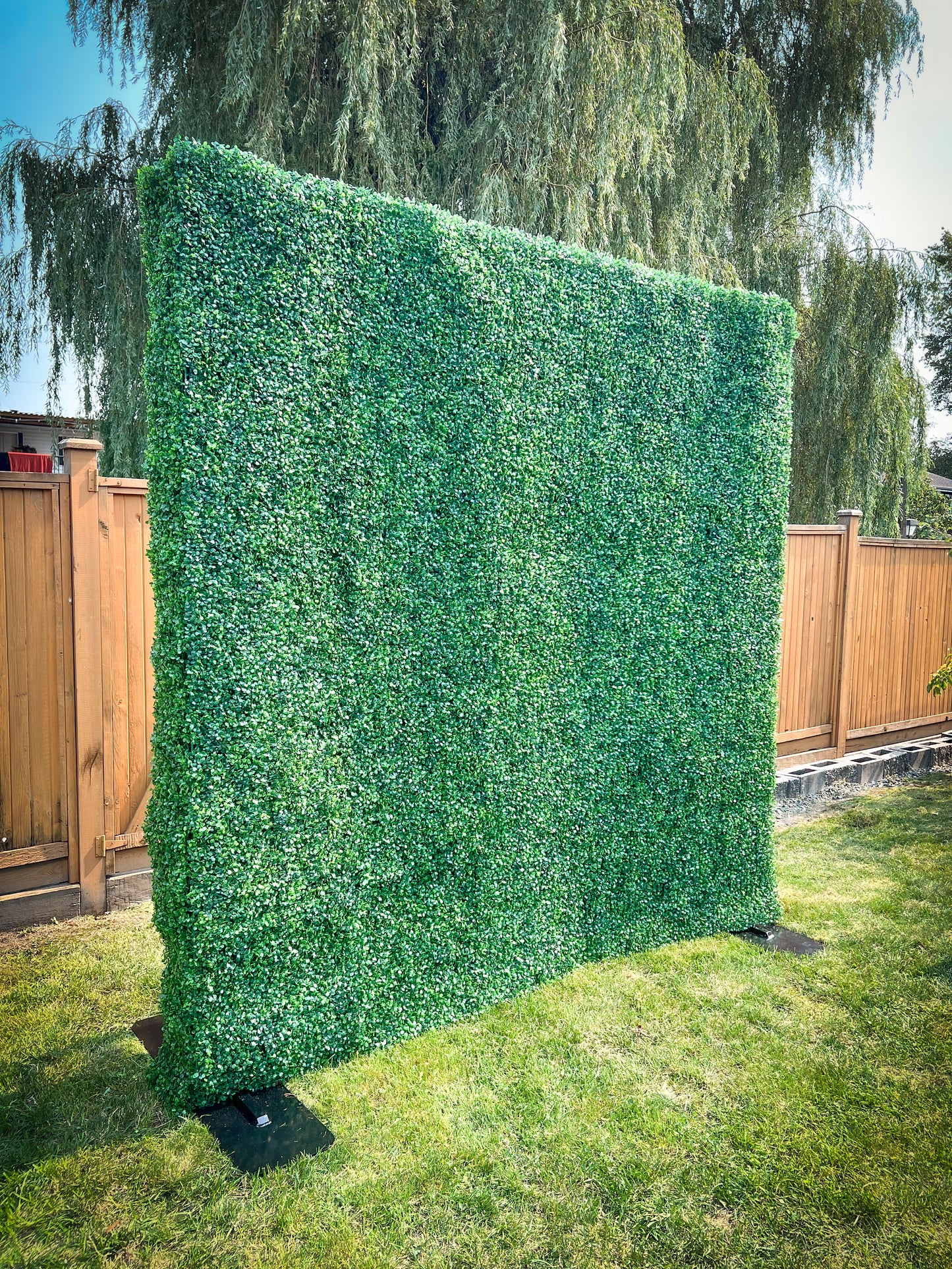 A closer look at Sustainable Luxury Rentals With A View