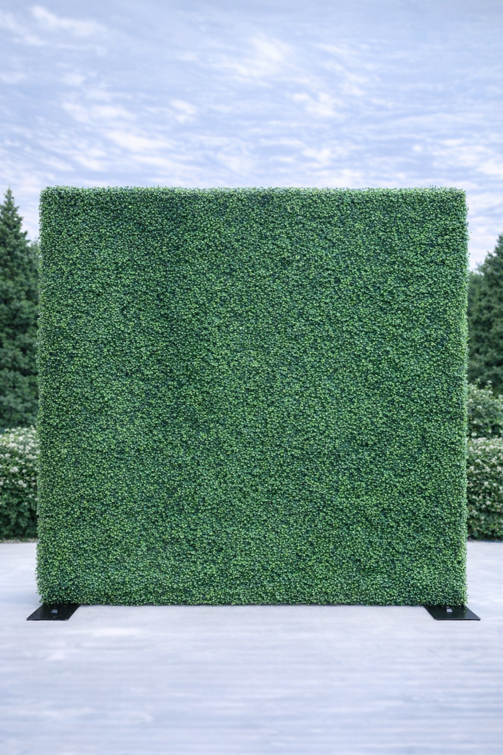 Green Wall - Standard